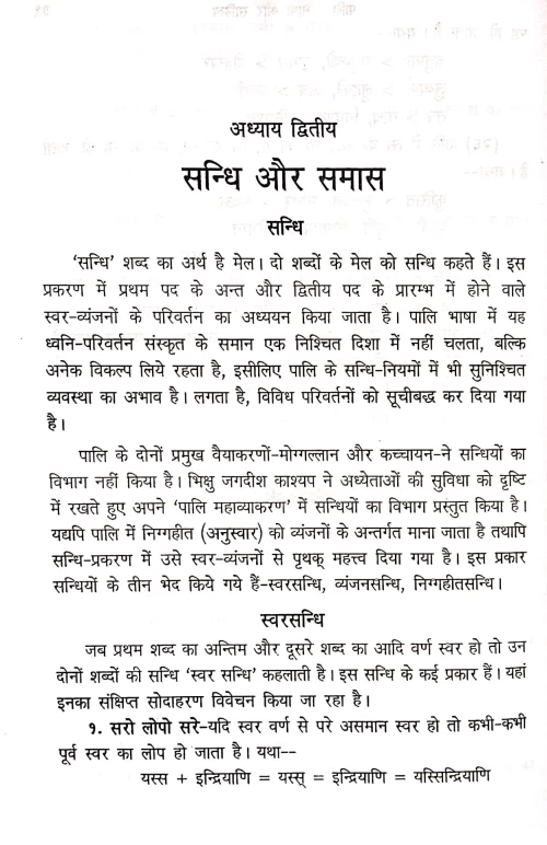 Pali-Bhasa Aur Sahitya